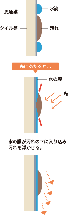 親水性